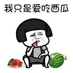 吃瓜娱乐圈是什么,揭秘明星幕后故事