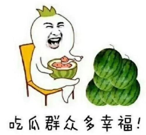 娱乐京圈吃瓜